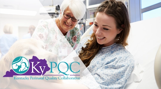 Kentucky Perinatal Quality Collaborative logo